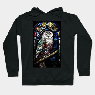 Stained Glass Style Majestic Owl Sitting Hoodie